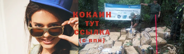 МДПВ Краснослободск