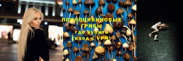 МДПВ Краснослободск